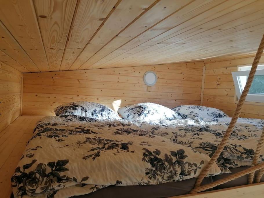 Glamping Sever Mikulášovice エクステリア 写真